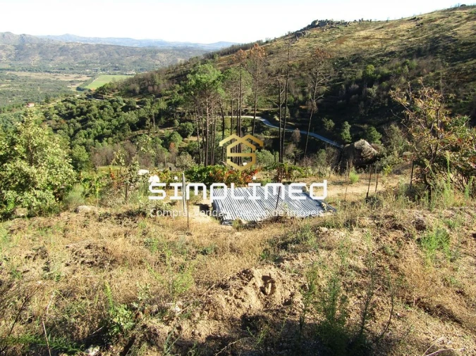 Terreno para Venda em Gonçalo Bocas Foto 22