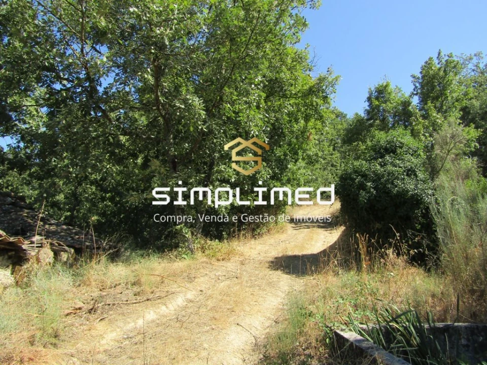 Quinta para Venda em Ferro Foto 27