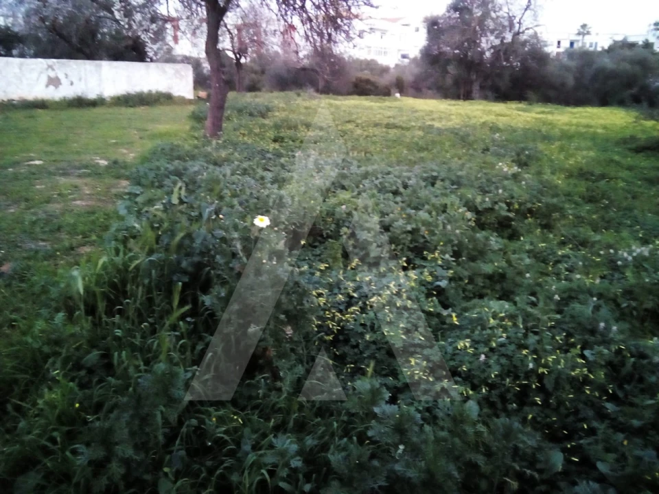 Terreno para Venda em Almancil Foto 4