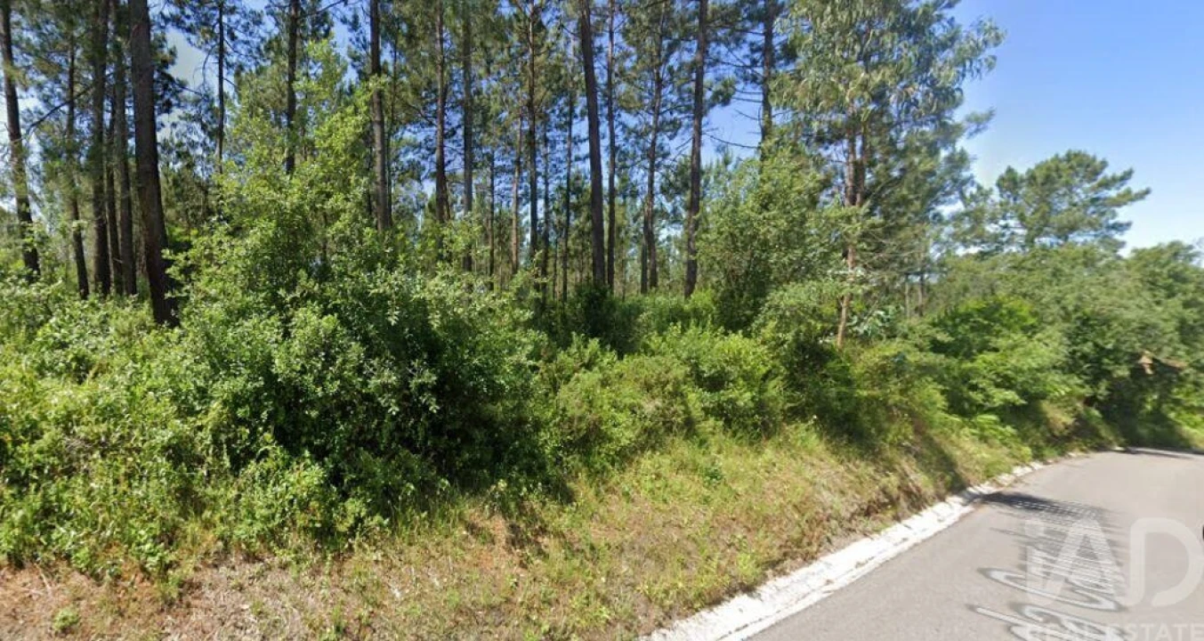 Terreno para Venda em Maceira Foto 1
