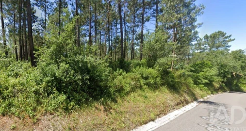 Terreno para Venda em Maceira