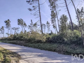 Terreno para Venda em Maceira