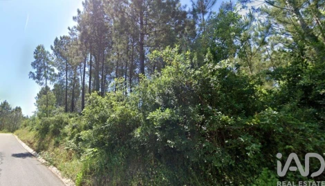 Terreno para Venda em Maceira