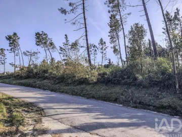 Terreno para Venda em Maceira