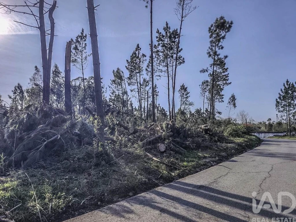 Terreno para Venda em Maceira Foto 3