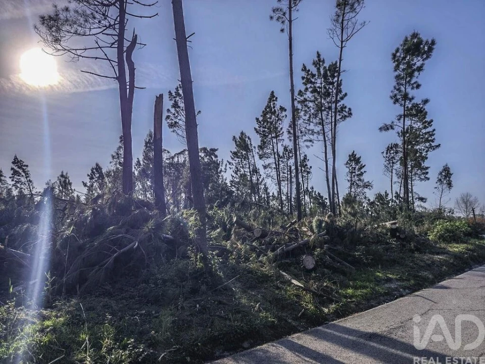 Terreno para Venda em Maceira Foto 2