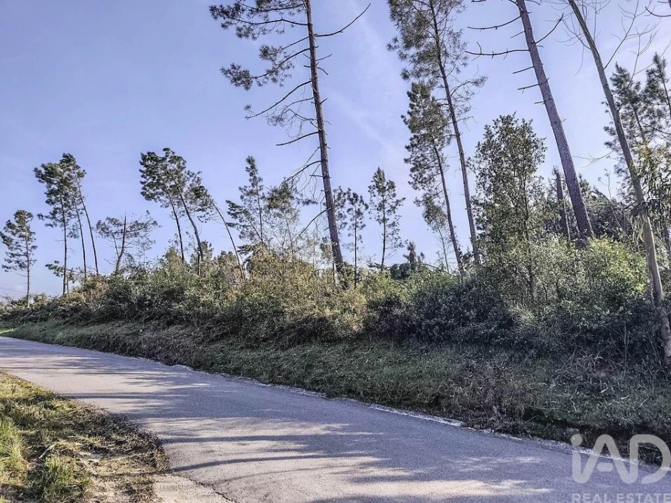 Terreno para Venda em Maceira Foto 1