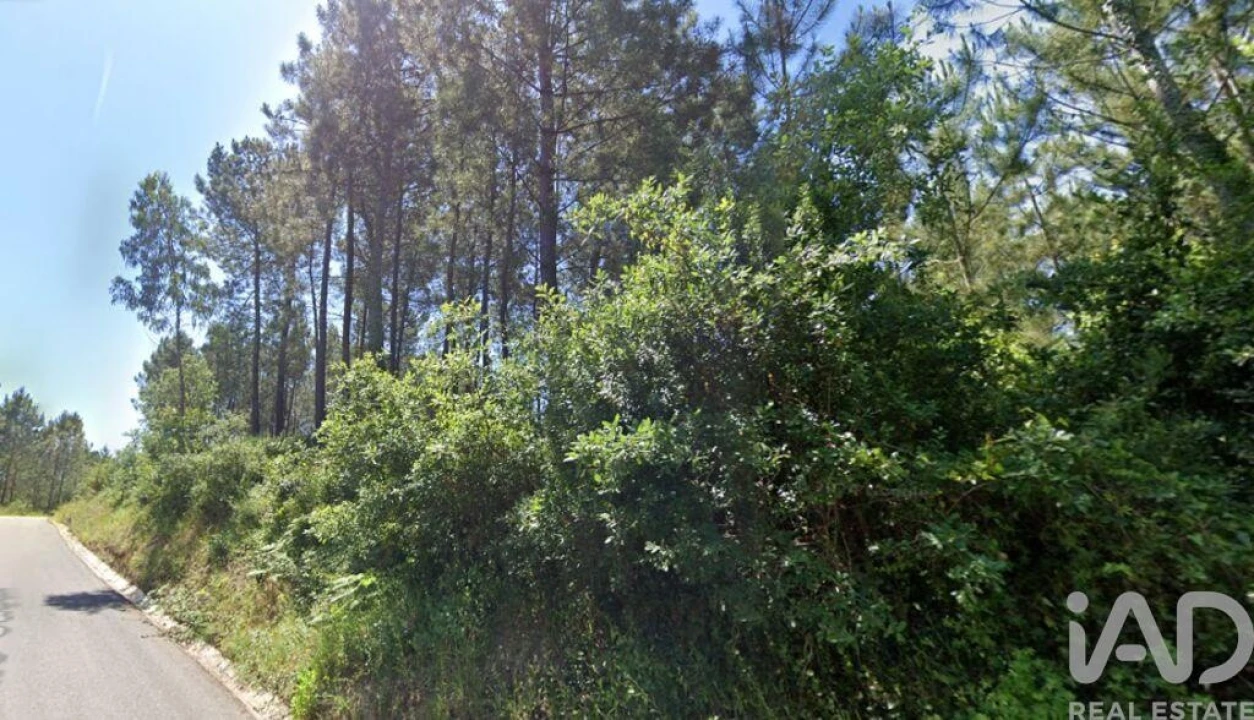 Terreno para Venda em Maceira Foto 2