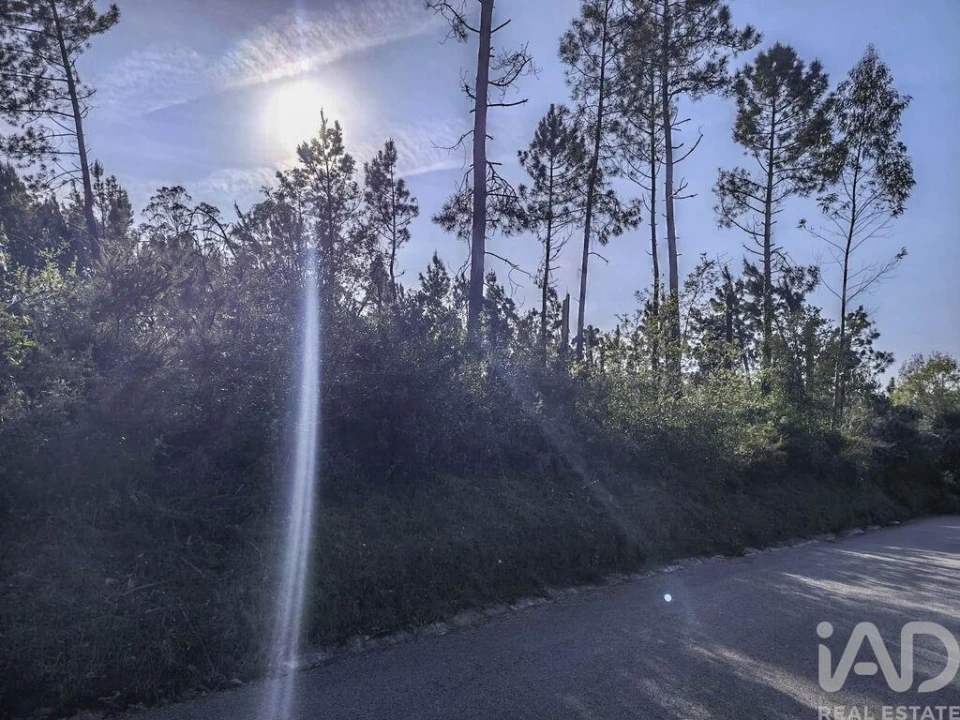 Terreno para Venda em Maceira Foto 5