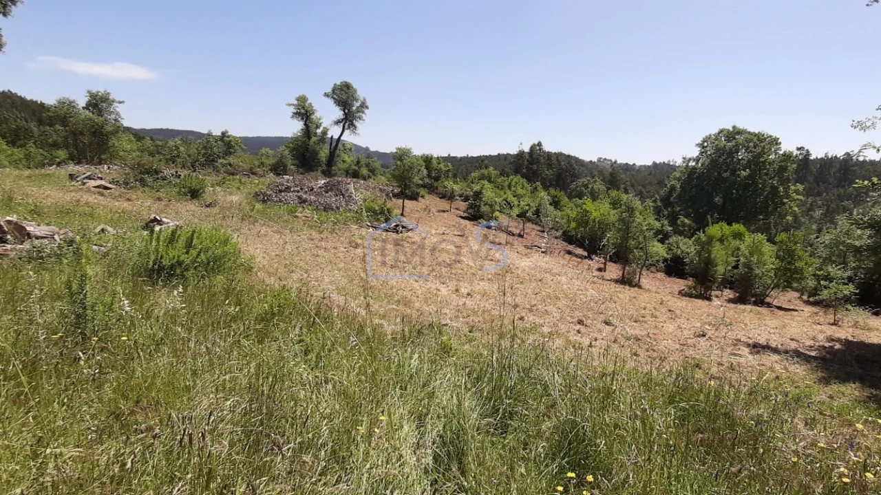 Terreno para Venda em Aguas Belas Foto 15