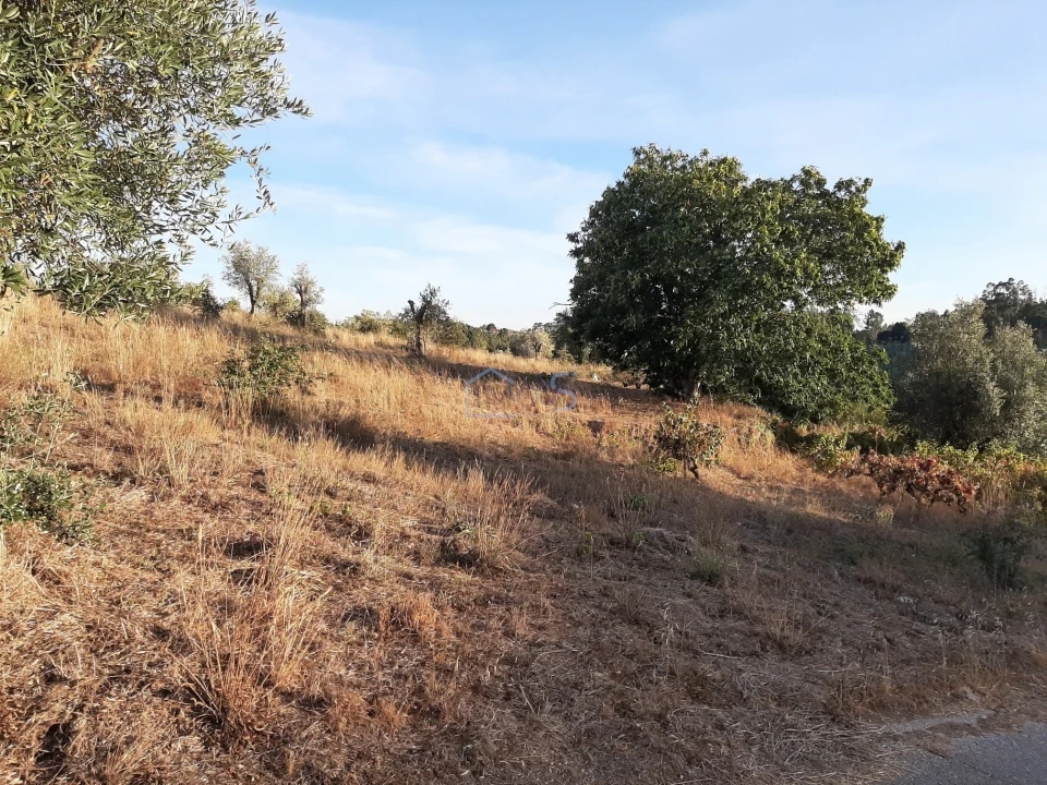 Terreno para Venda em Aguas Belas Foto 16