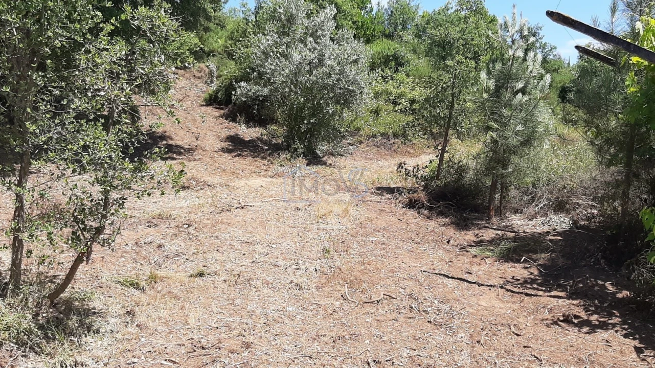 Terreno para Venda em Aguas Belas Foto 21