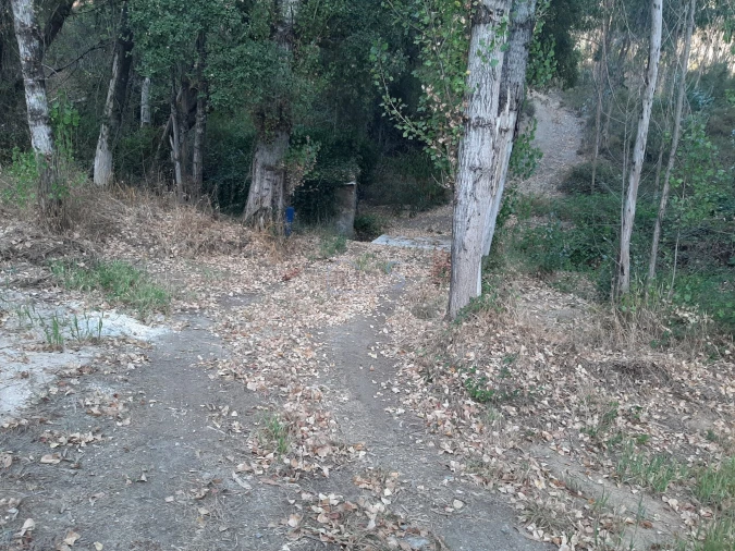 Terreno para Venda em Aguas Belas Foto 33