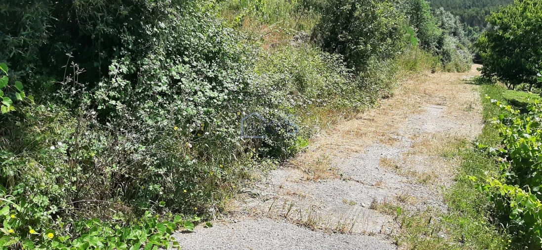 Terreno para Venda em Aguas Belas Foto 19