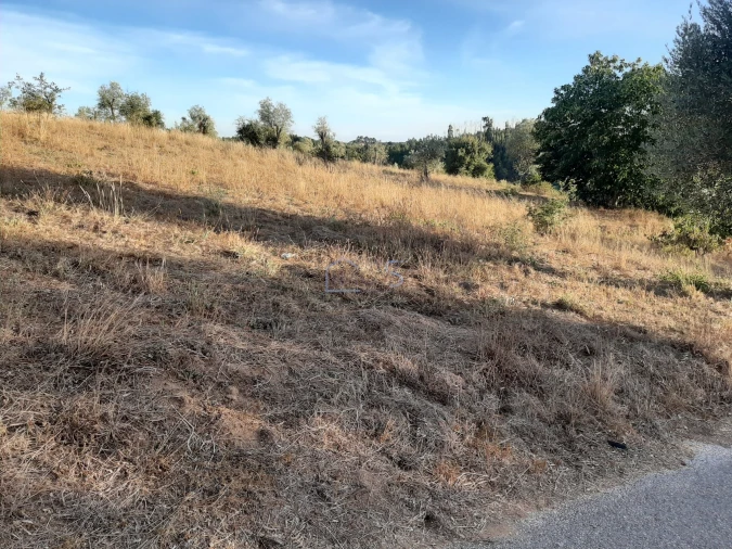 Terreno para Venda em Aguas Belas Foto 11