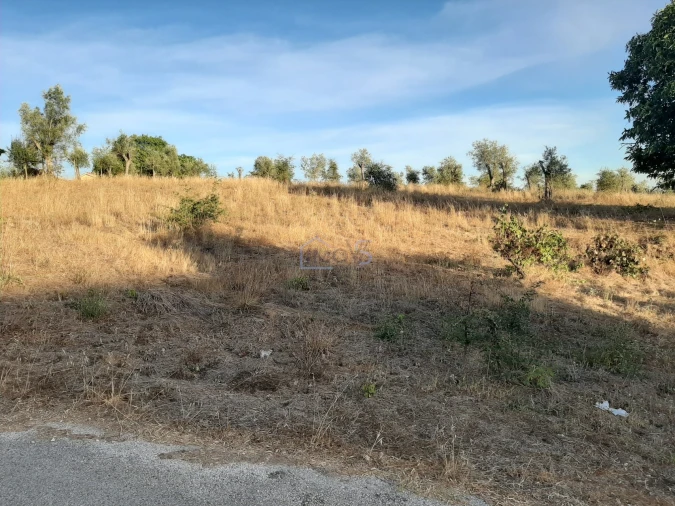 Terreno para Venda em Aguas Belas Foto 20