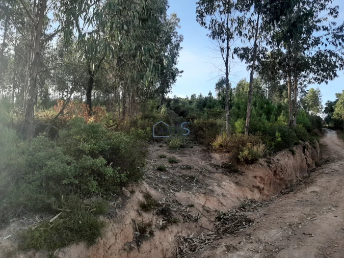 Terreno para Venda em Aguas Belas Foto 30