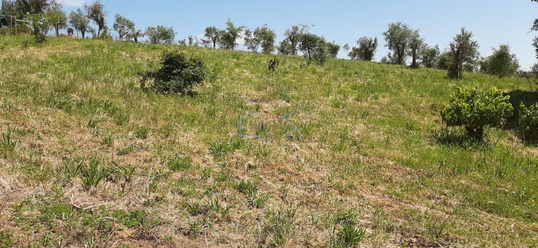 Terreno para Venda em Aguas Belas Foto 14