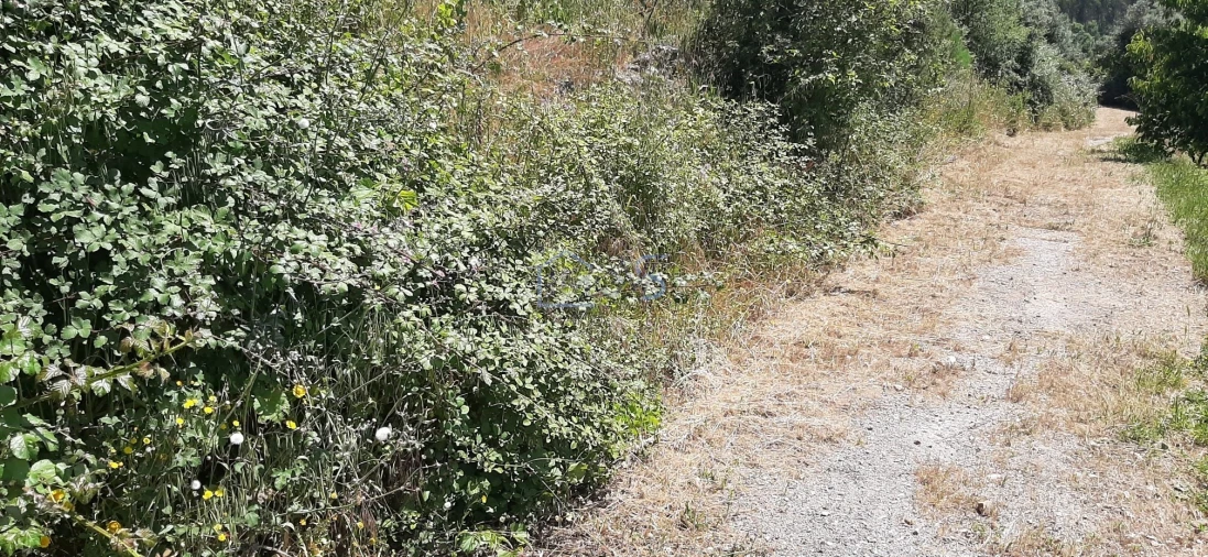 Terreno para Venda em Aguas Belas Foto 18