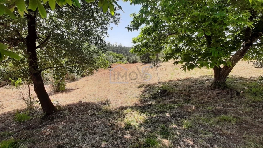 Terreno para Venda em Aguas Belas Foto 24