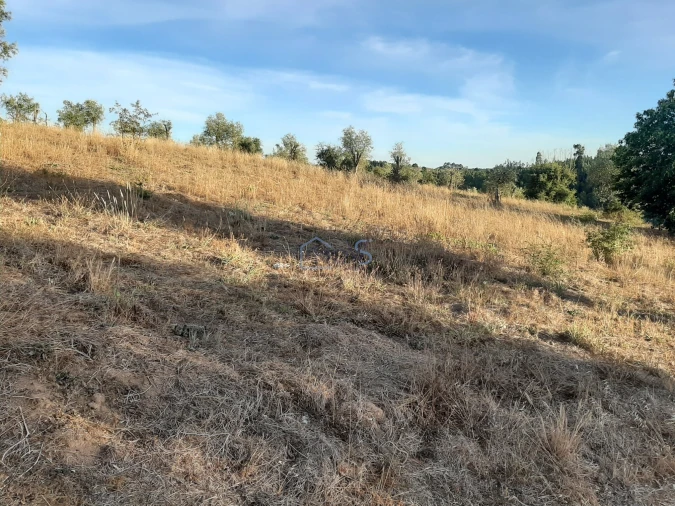 Terreno para Venda em Aguas Belas Foto 10