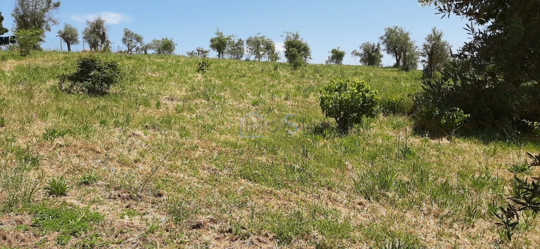 Terreno para Venda em Aguas Belas Foto 12