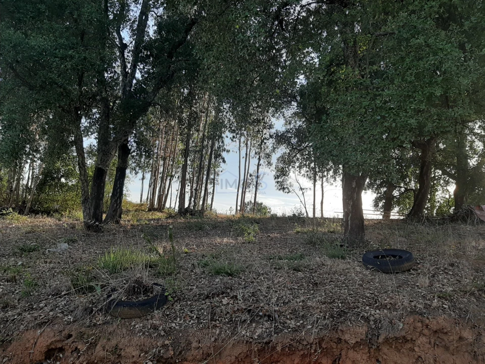 Terreno para Venda em Aguas Belas Foto 28