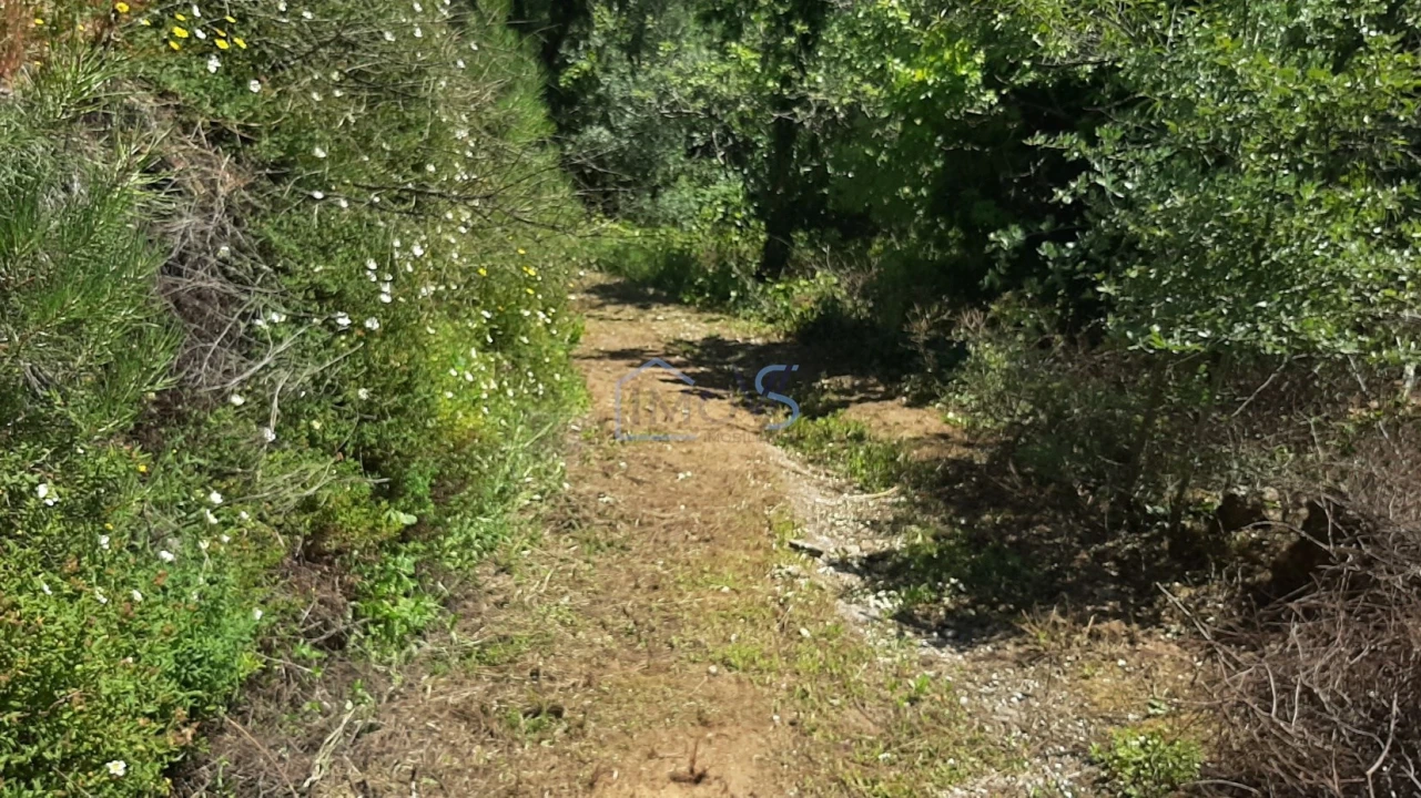 Terreno para Venda em Aguas Belas Foto 17