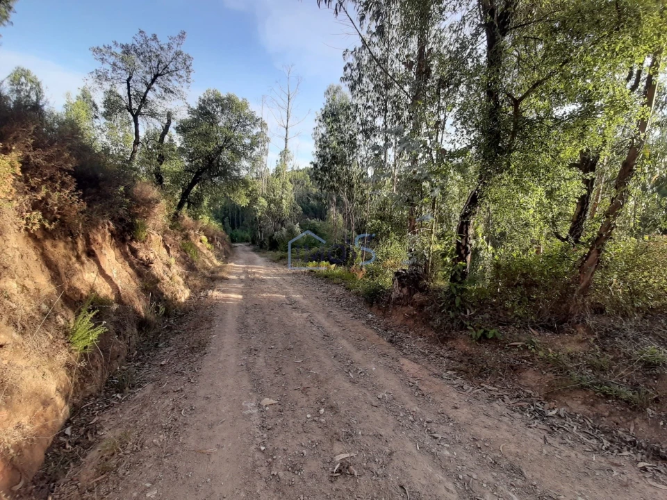 Terreno para Venda em Aguas Belas Foto 31