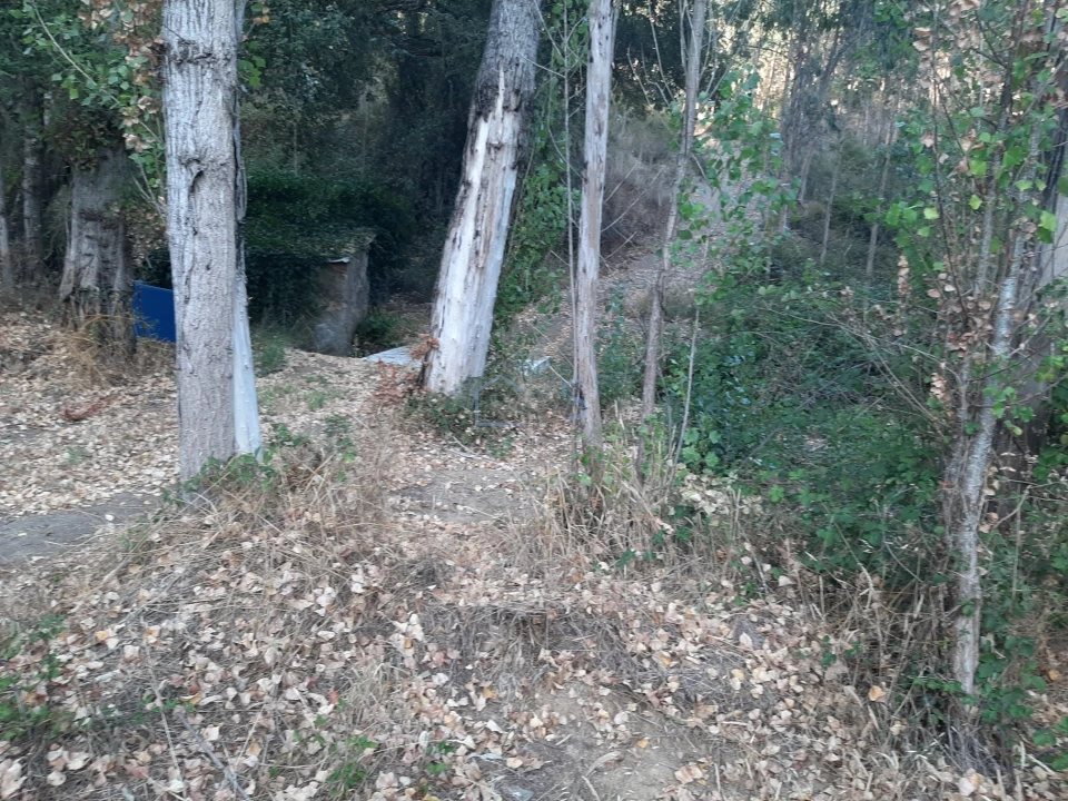 Terreno para Venda em Aguas Belas Foto 34