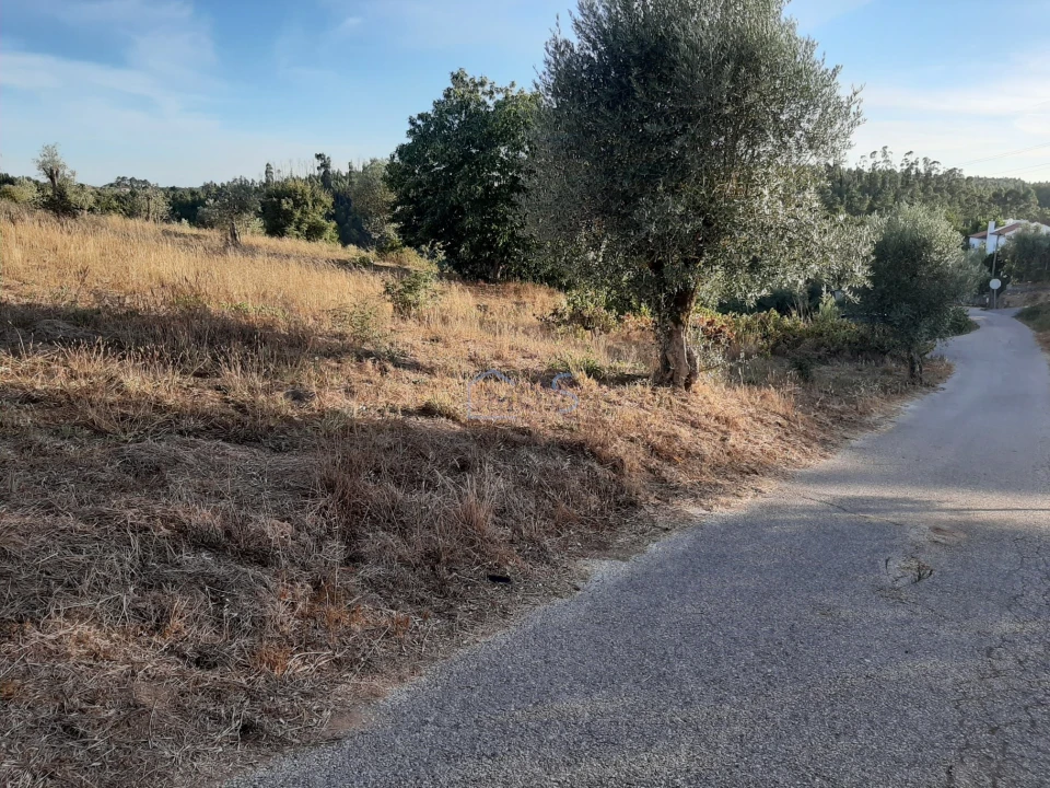 Terreno para Venda em Aguas Belas Foto 9