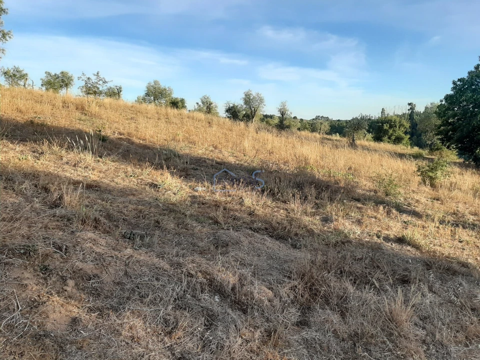 Terreno para Venda em Aguas Belas Foto 10