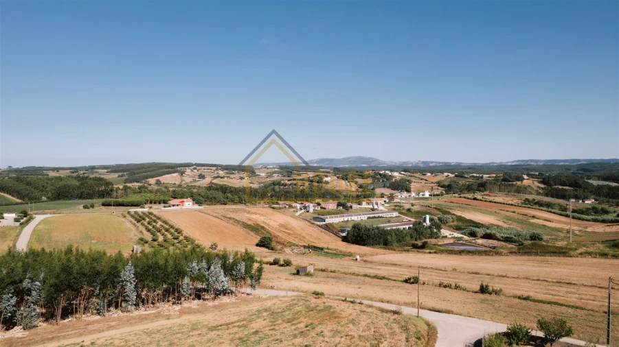 Armazém para Venda em Miragaia e Marteleira Foto 10