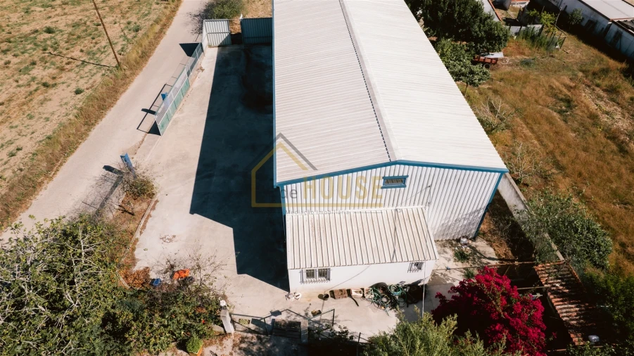 Armazém para Venda em Miragaia e Marteleira Foto 9
