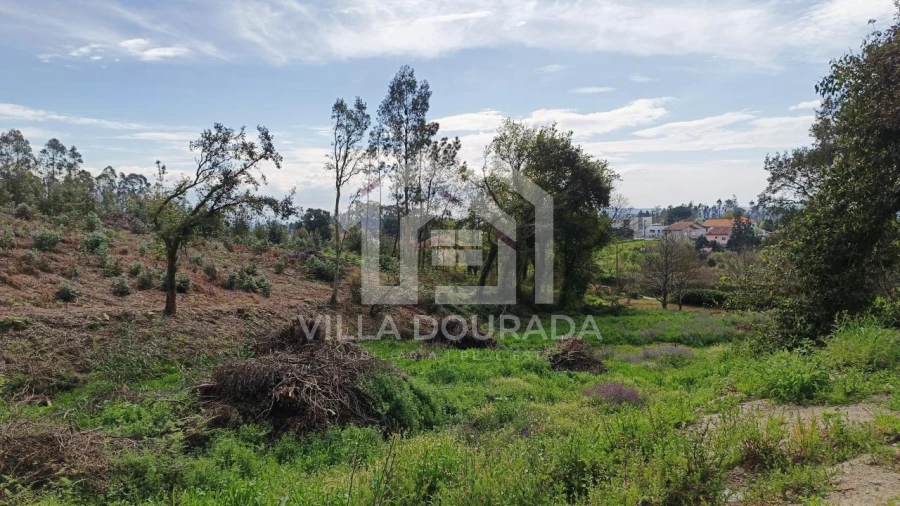 Terreno para Venda em Foz do Sousa e Covelo Foto 4