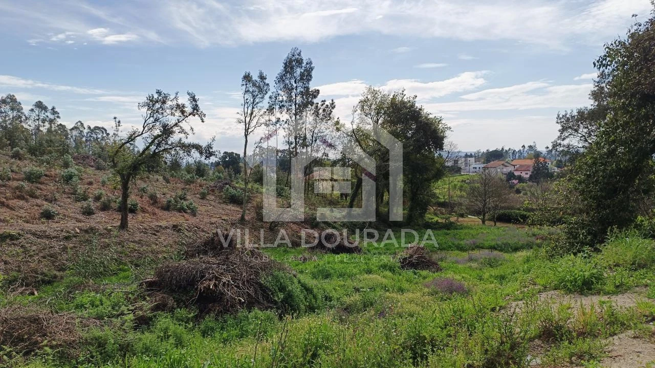 Terreno para Venda em Foz do Sousa e Covelo Foto 4