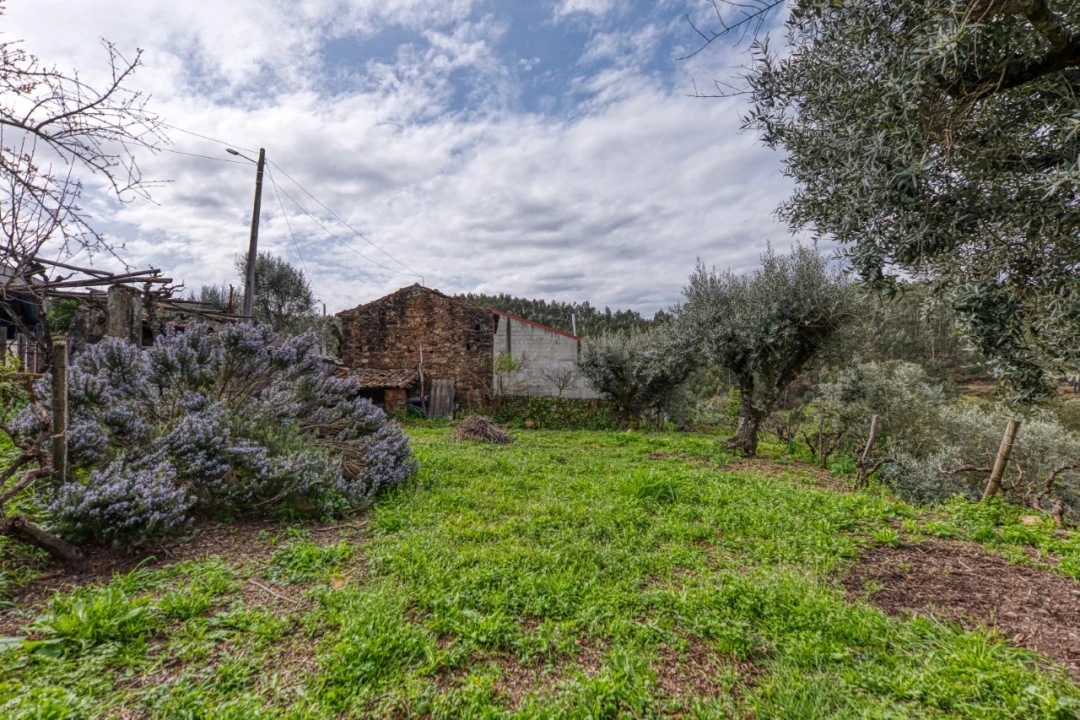 Moradia T2 para Venda em Mação, Penhascoso e Aboboreira Foto 15