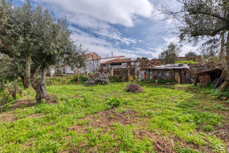 Moradia T2 para Venda em Mação, Penhascoso e Aboboreira Foto 13