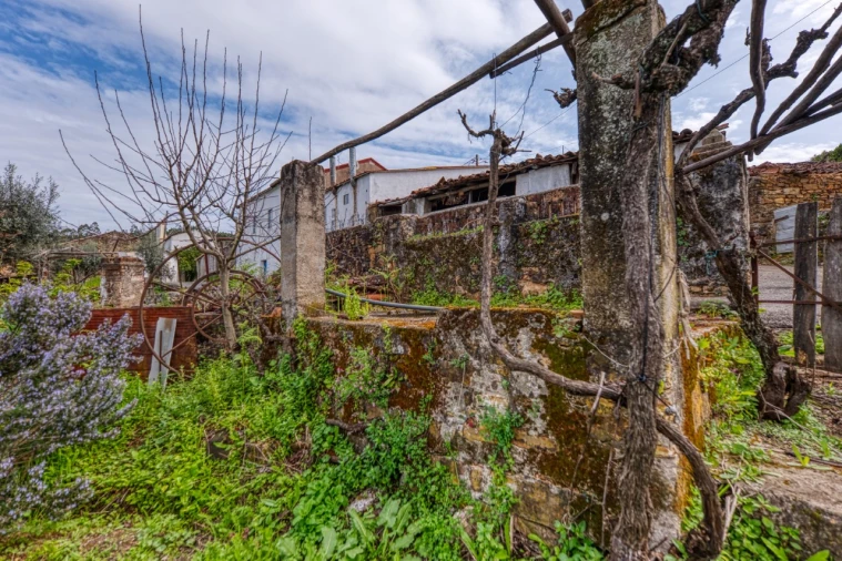 Moradia T2 para Venda em Mação, Penhascoso e Aboboreira Foto 16
