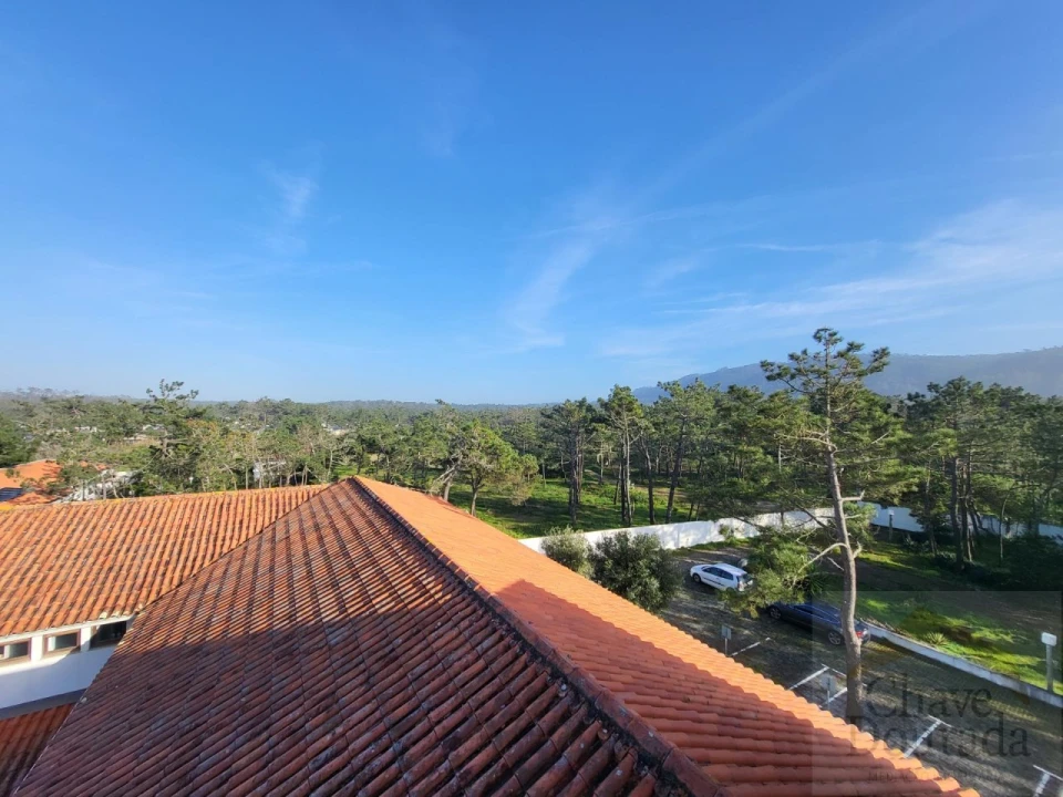 Negócio para Venda em Quiaios Foto 51