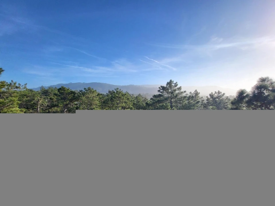 Negócio para Venda em Quiaios Foto 52