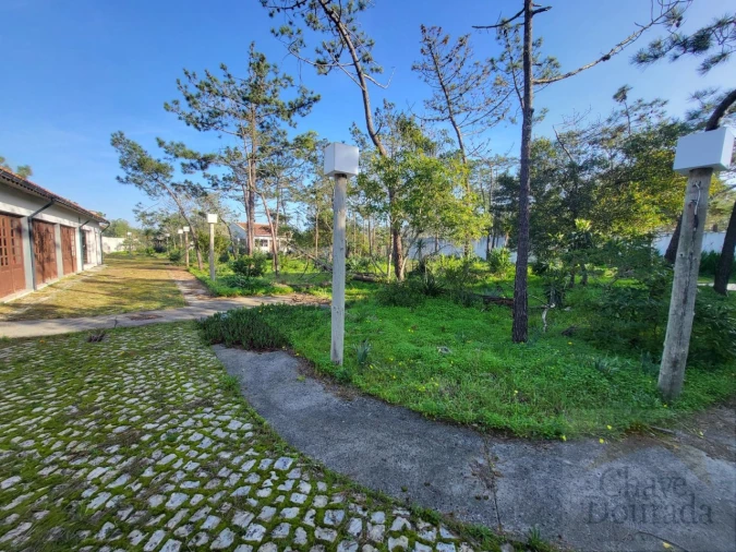 Negócio para Venda em Quiaios Foto 16