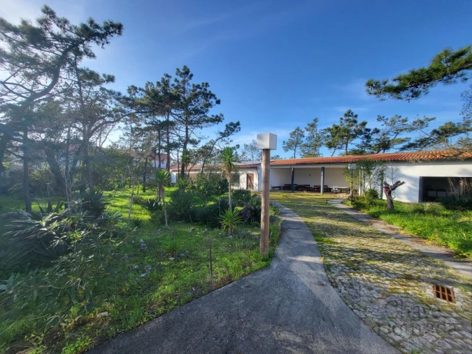 Negócio para Venda em Quiaios Foto 24