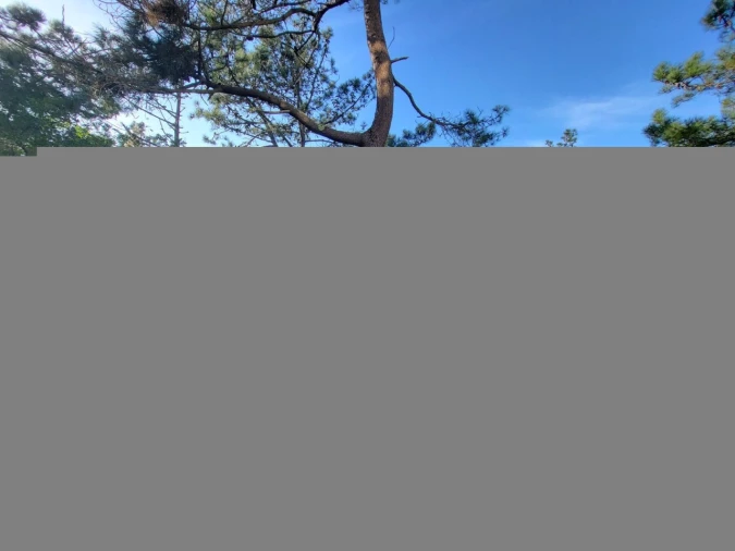 Negócio para Venda em Quiaios Foto 28