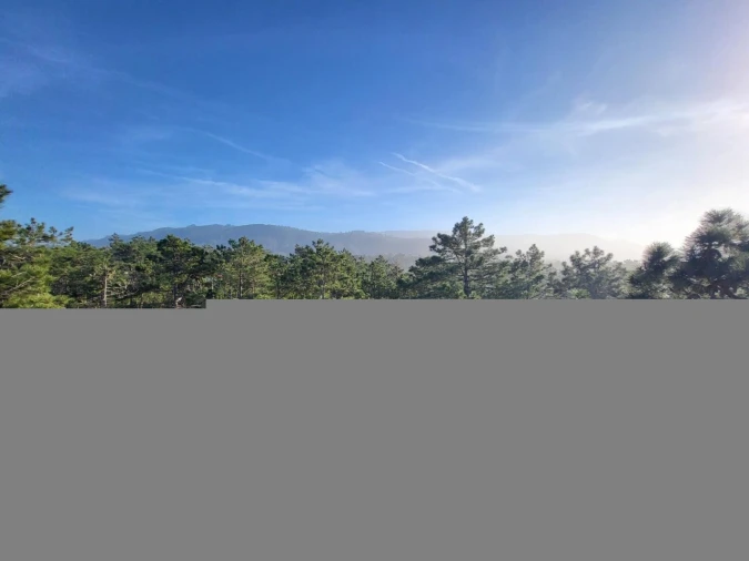 Negócio para Venda em Quiaios Foto 52