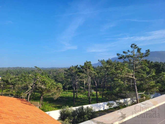 Negócio para Venda em Quiaios Foto 54