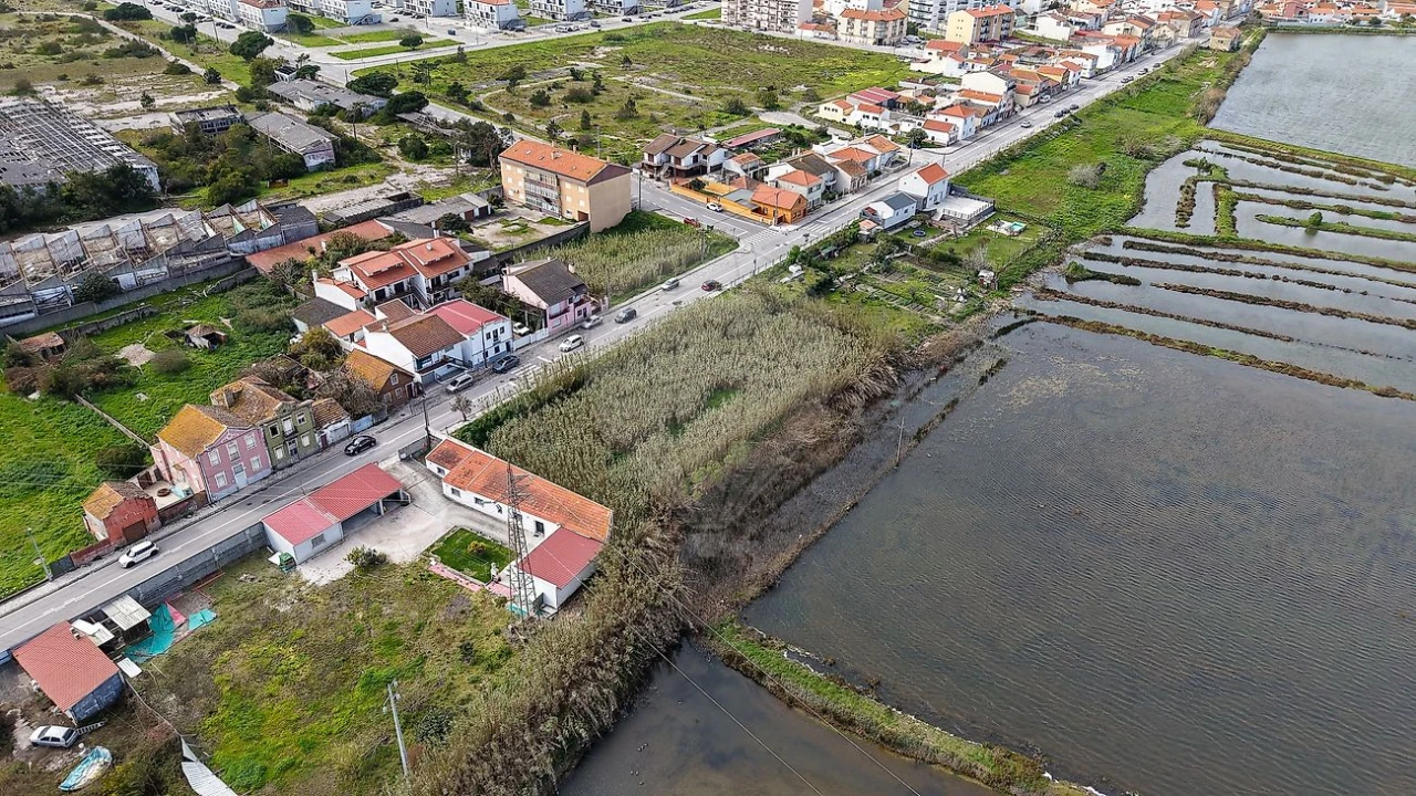 Terreno para Venda em São Pedro Foto 12