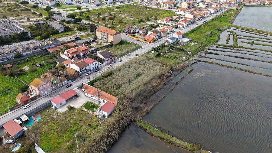 Terreno para Venda em São Pedro Foto 12