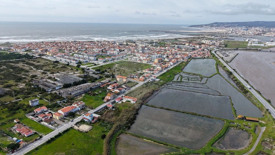 Terreno para Venda em São Pedro Foto 4