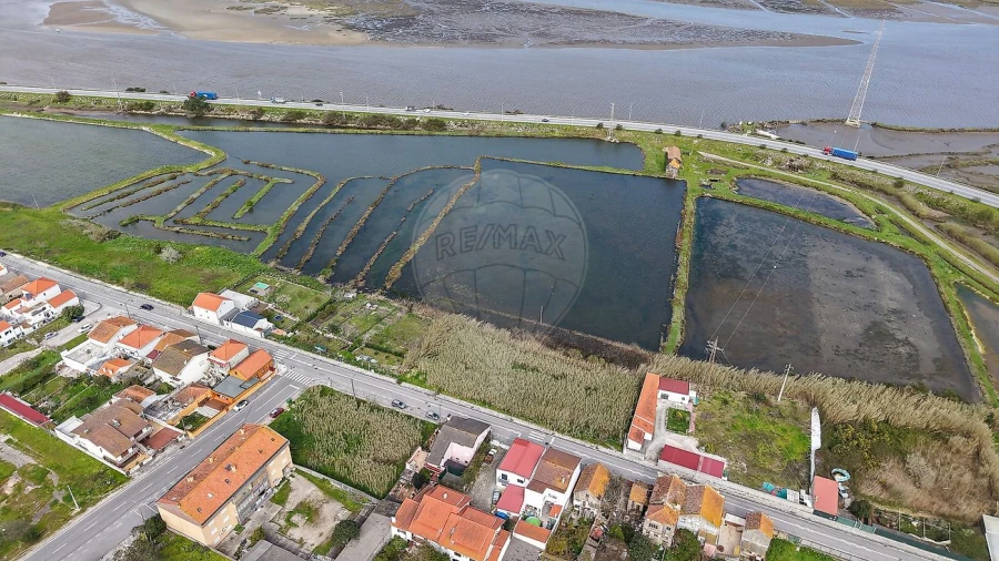 Terreno para Venda em São Pedro Foto 5